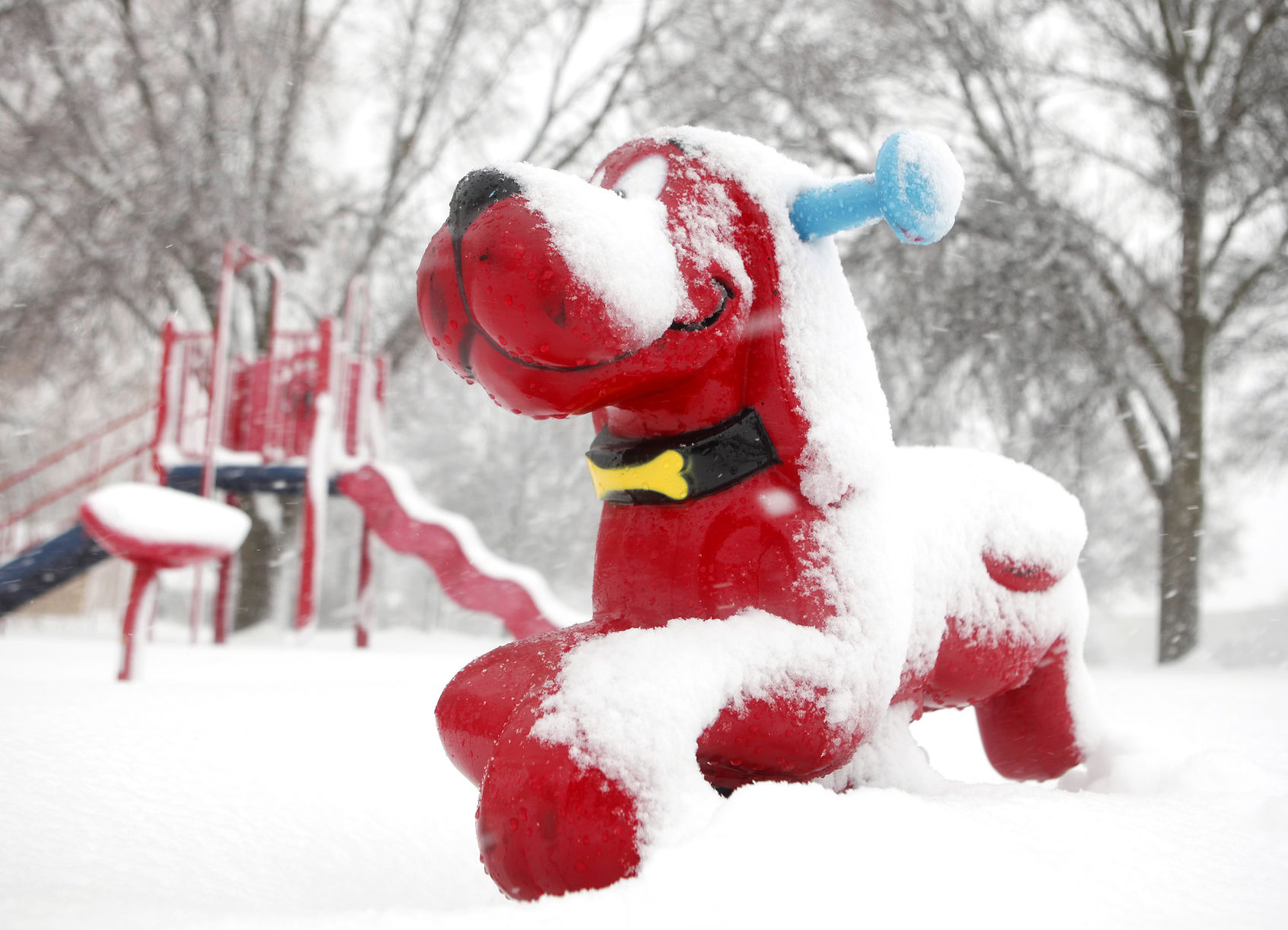 Scene from December 2012 blizzard